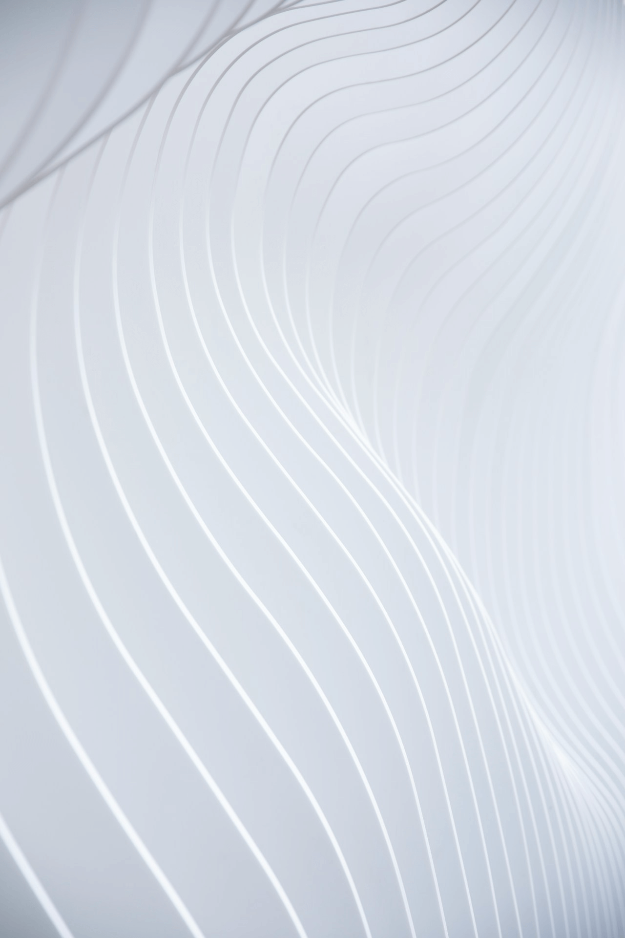 Print Designs banner